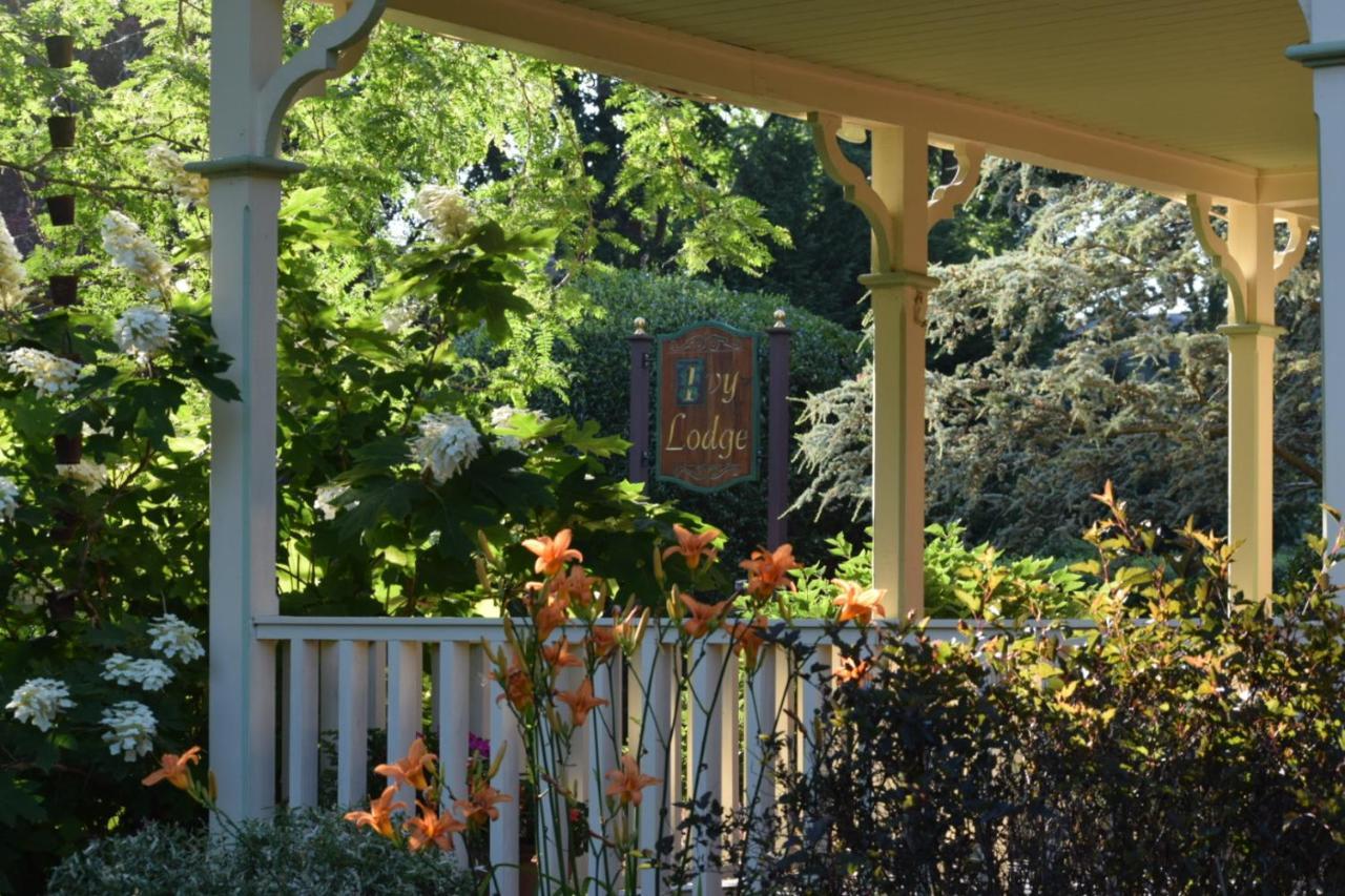 Ivy Bed & Breakfast