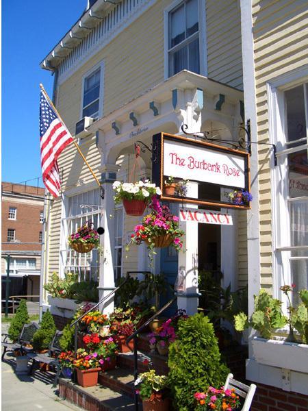 The Burbank Rose 3* Newport