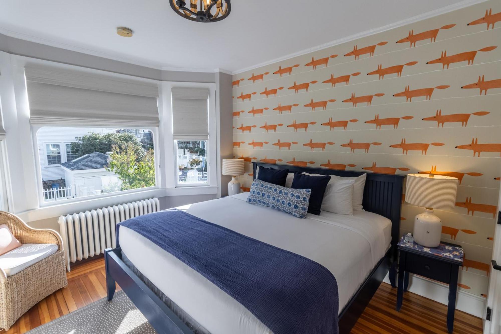 Paws On Pelham (adults Only) Bed & Breakfast Newport