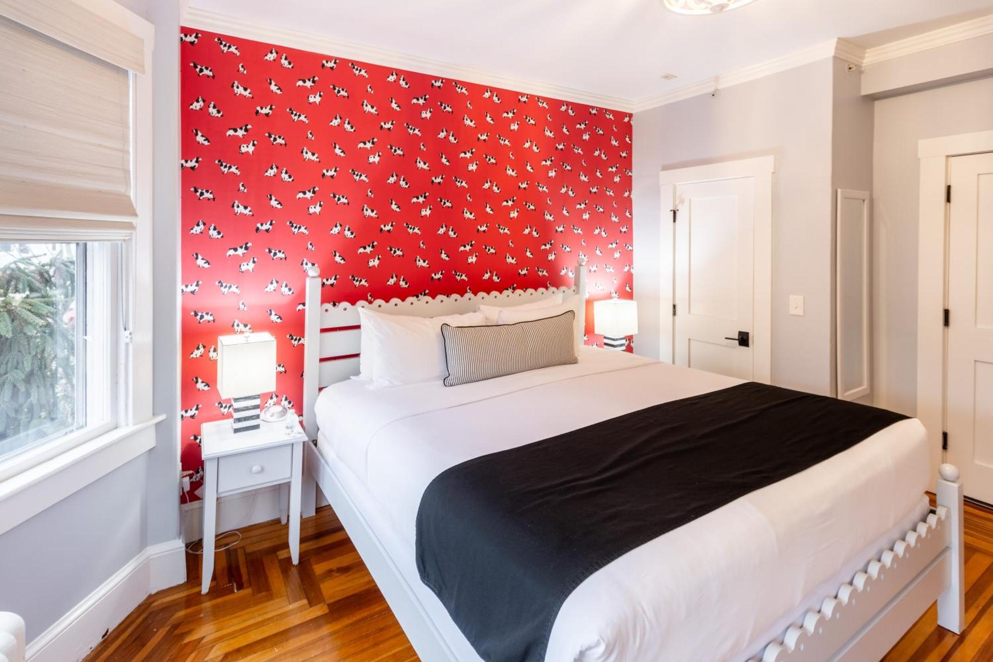 Paws On Pelham (adults Only) 3*