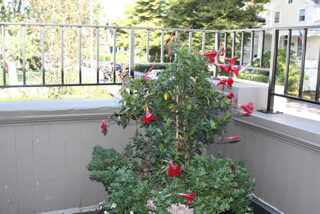 Hilltop Bed & Breakfast 3*