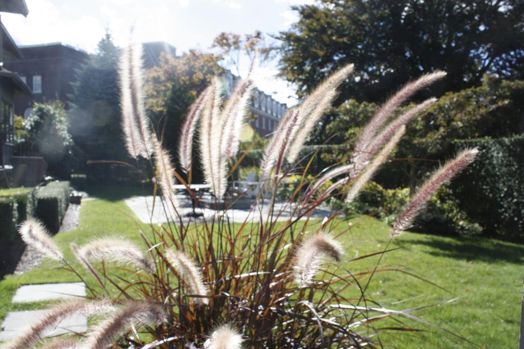 Bed & Breakfast Hilltop Newport