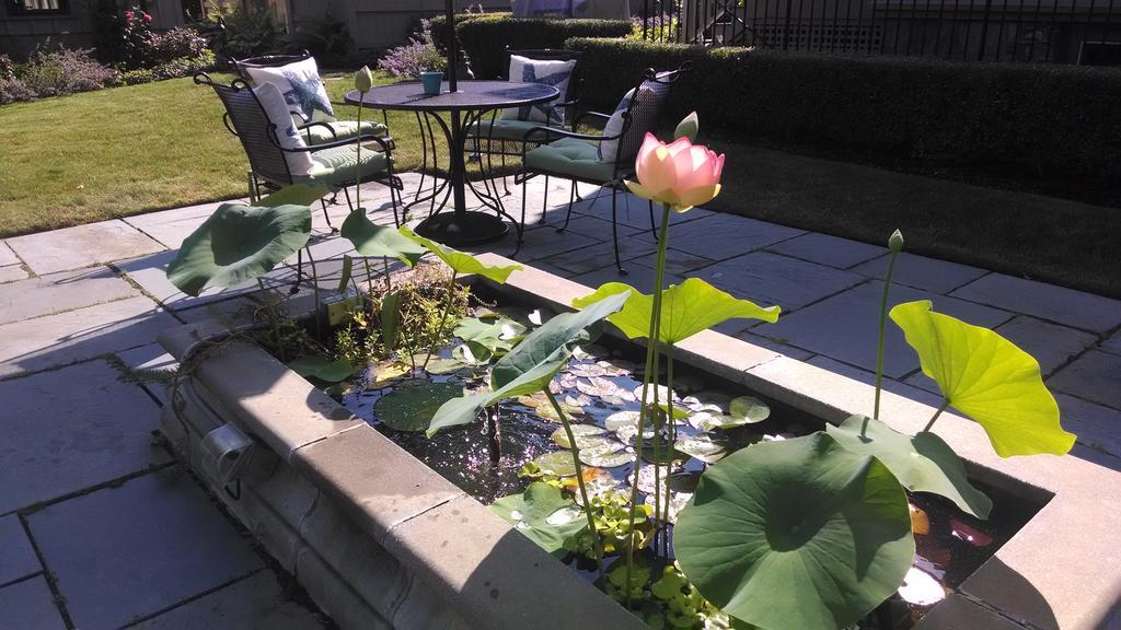 Bed & Breakfast Hilltop 3*