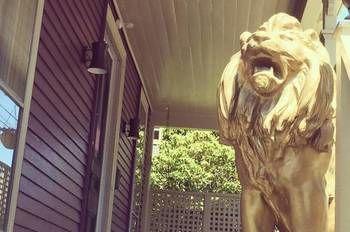 Gilded Newport