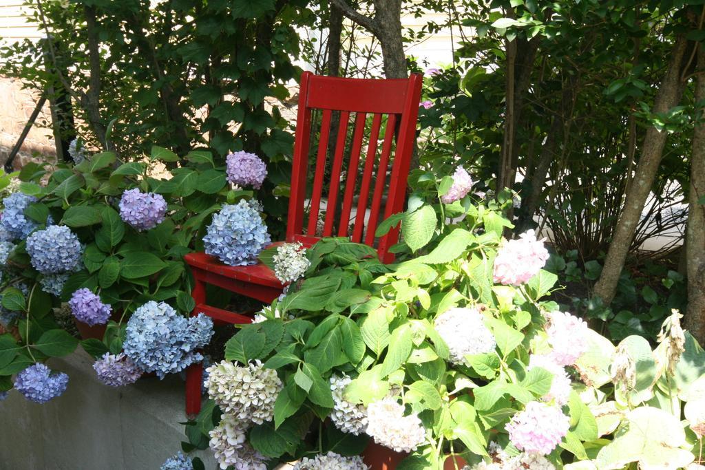 Hydrangea House 4*