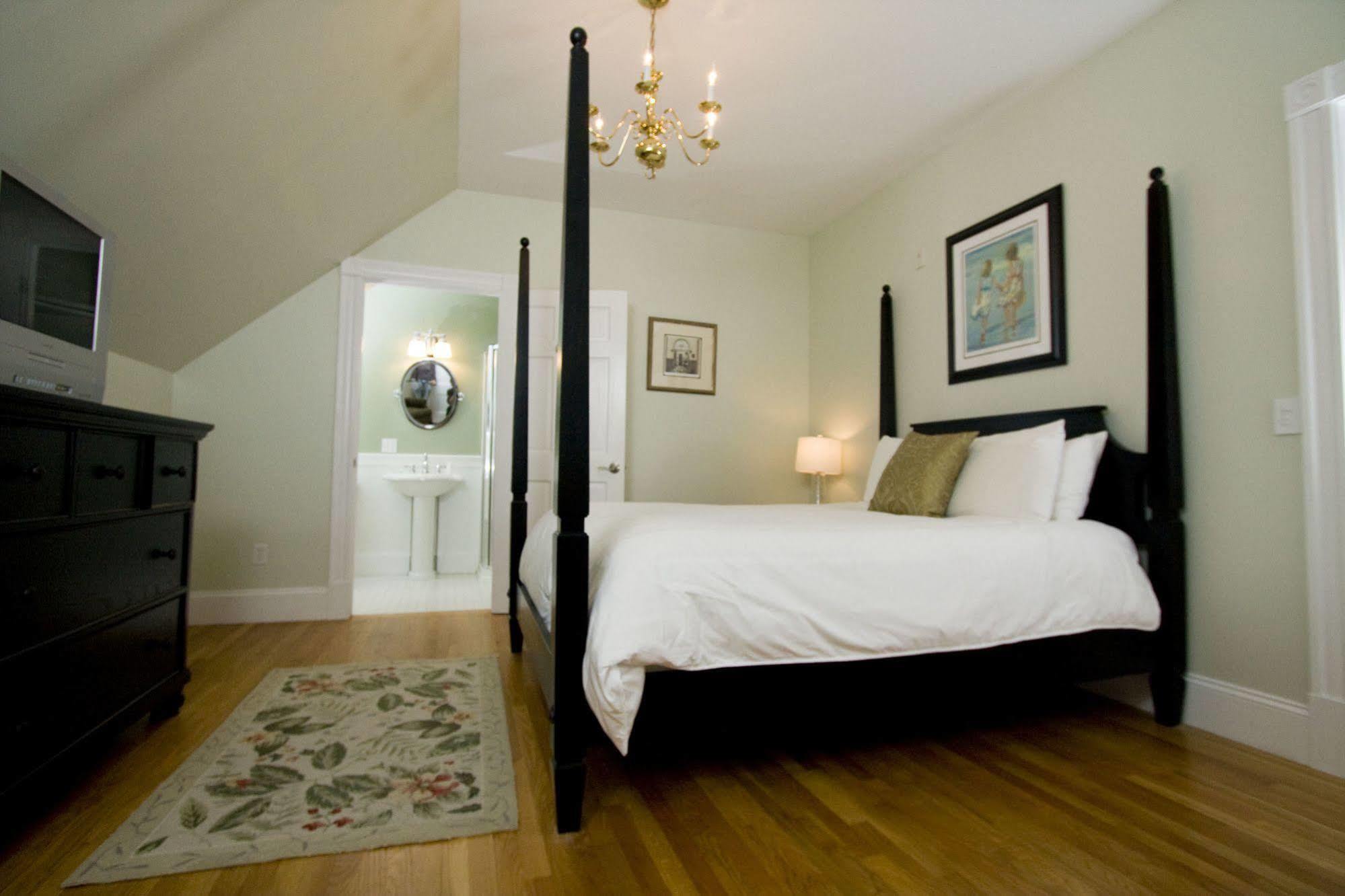 Paws On Pelham (adults Only) 3* Newport