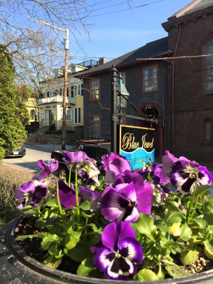 The Blue Jewel Of Bed & Breakfast *
