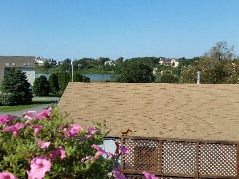 1 Murray House Bed & Breakfast Newport