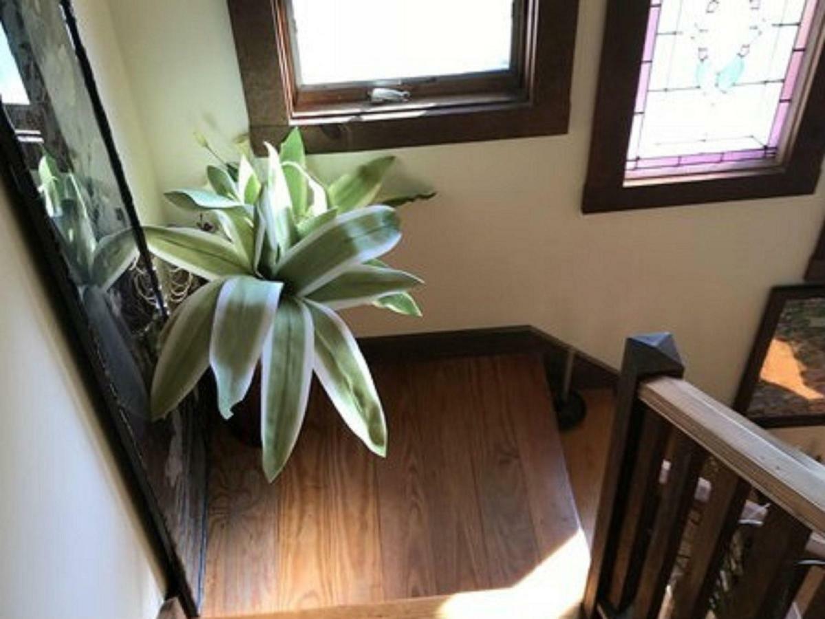 Bed & Breakfast Gardenview Newport