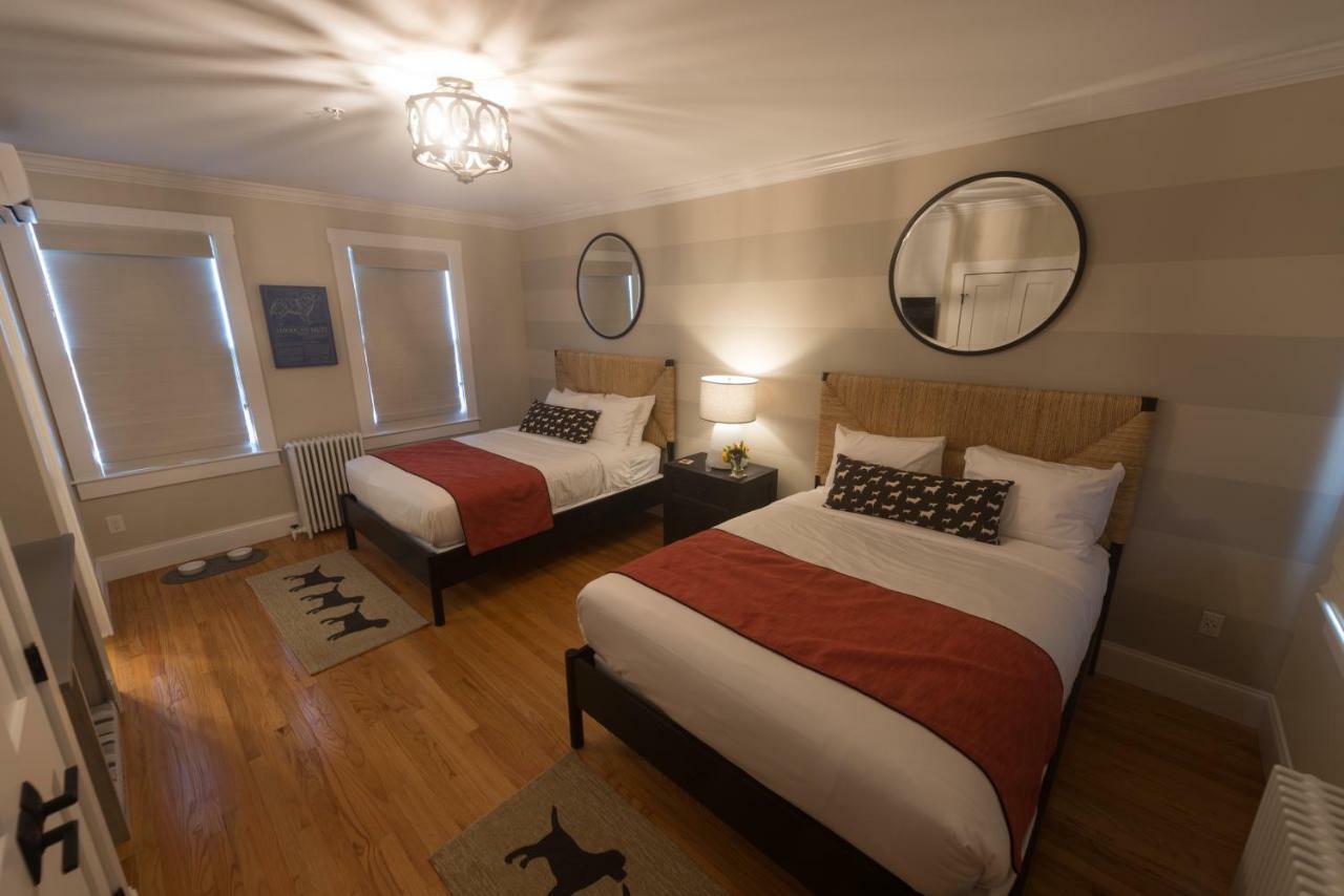 Paws On Pelham (adults Only) 3* Newport