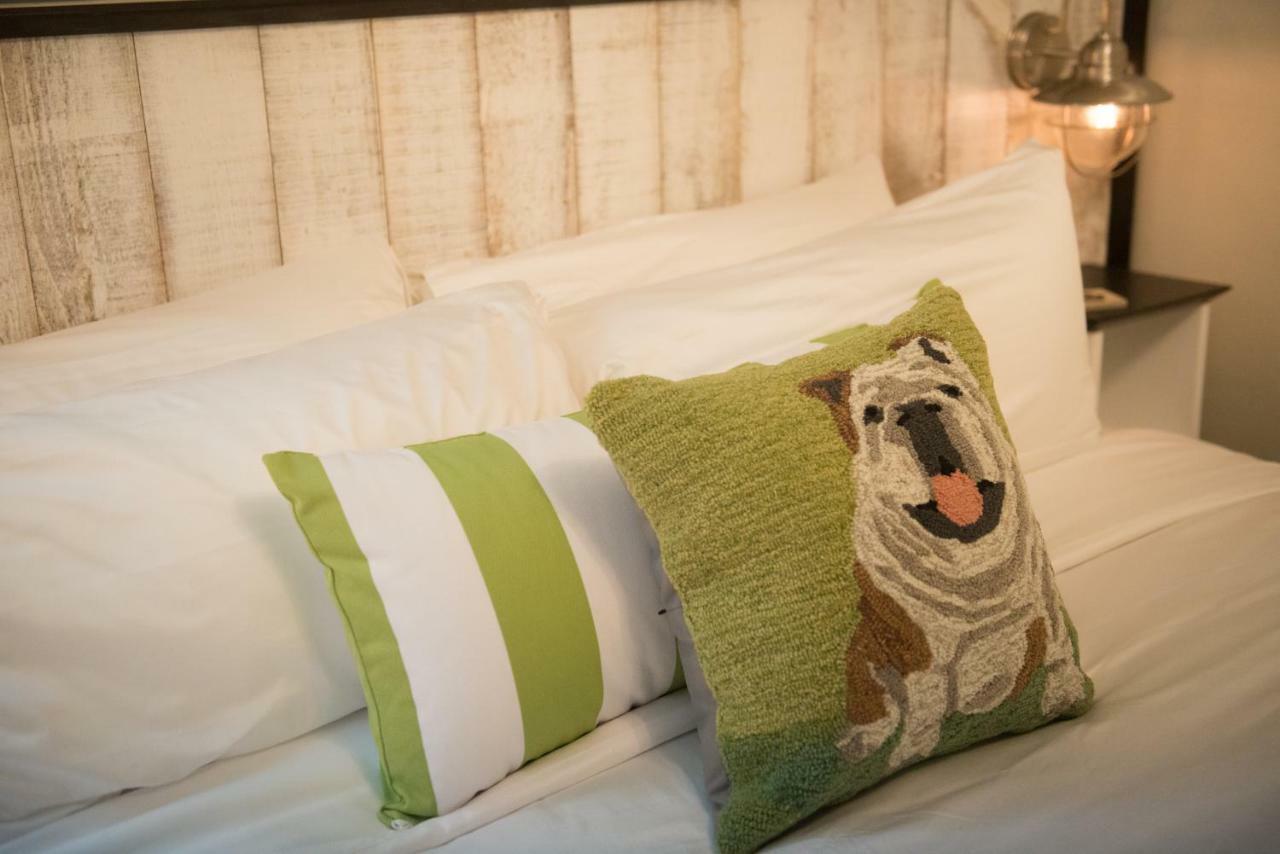 Paws On Pelham (adults Only) Bed & Breakfast 3*