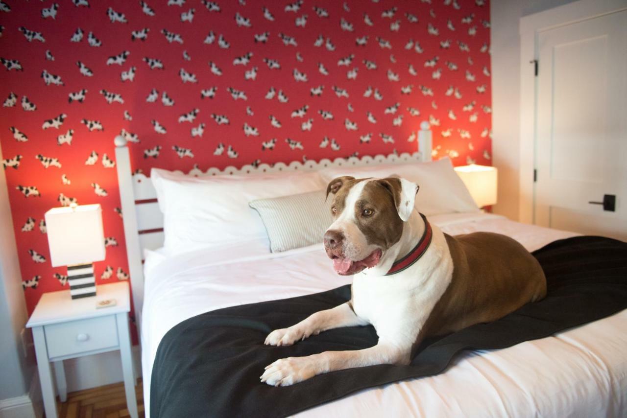 Bed & Breakfast Paws On Pelham (adults Only) Newport