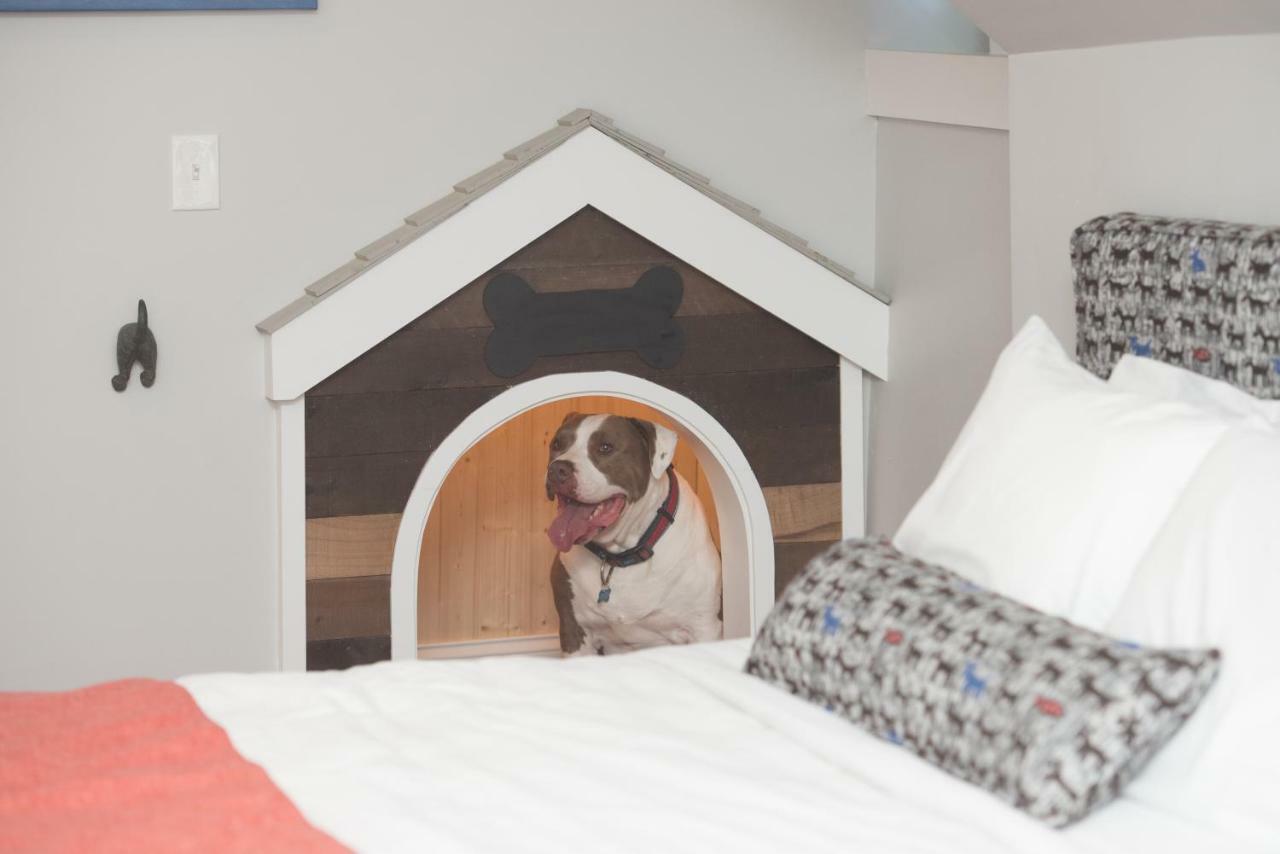 Paws On Pelham (adults Only) 3* Newport