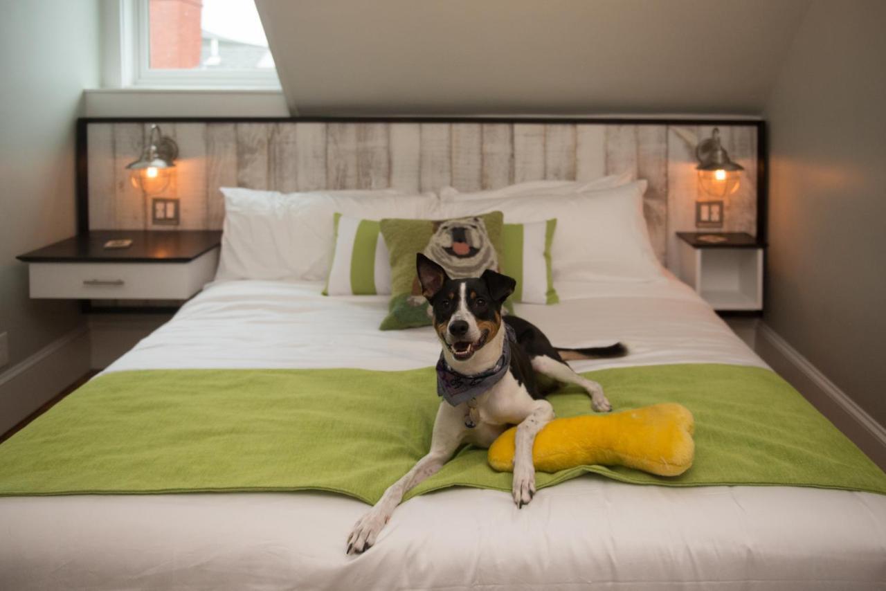 Bed & Breakfast Paws On Pelham (adults Only) Newport