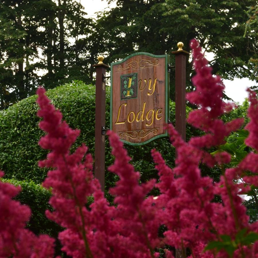 Ivy Bed & Breakfast